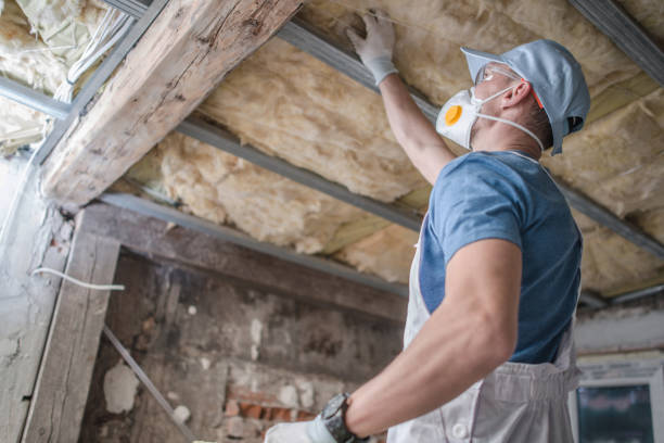 Best Wall Insulation Contractor  in Lincolnwood, IL