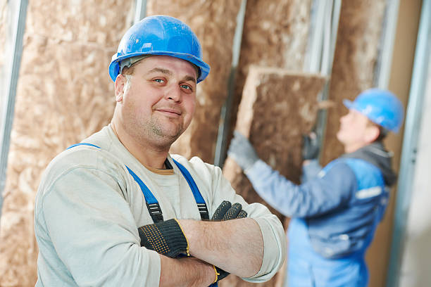 Best Home Insulation Services  in Lincolnwood, IL